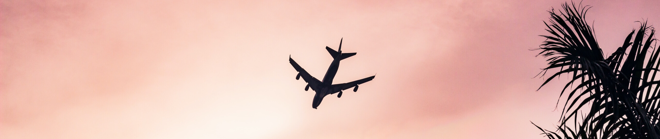 Tallhassee Fly-in_Top Banner - Photo looking up at a plane flying overhead on a pink colored sky