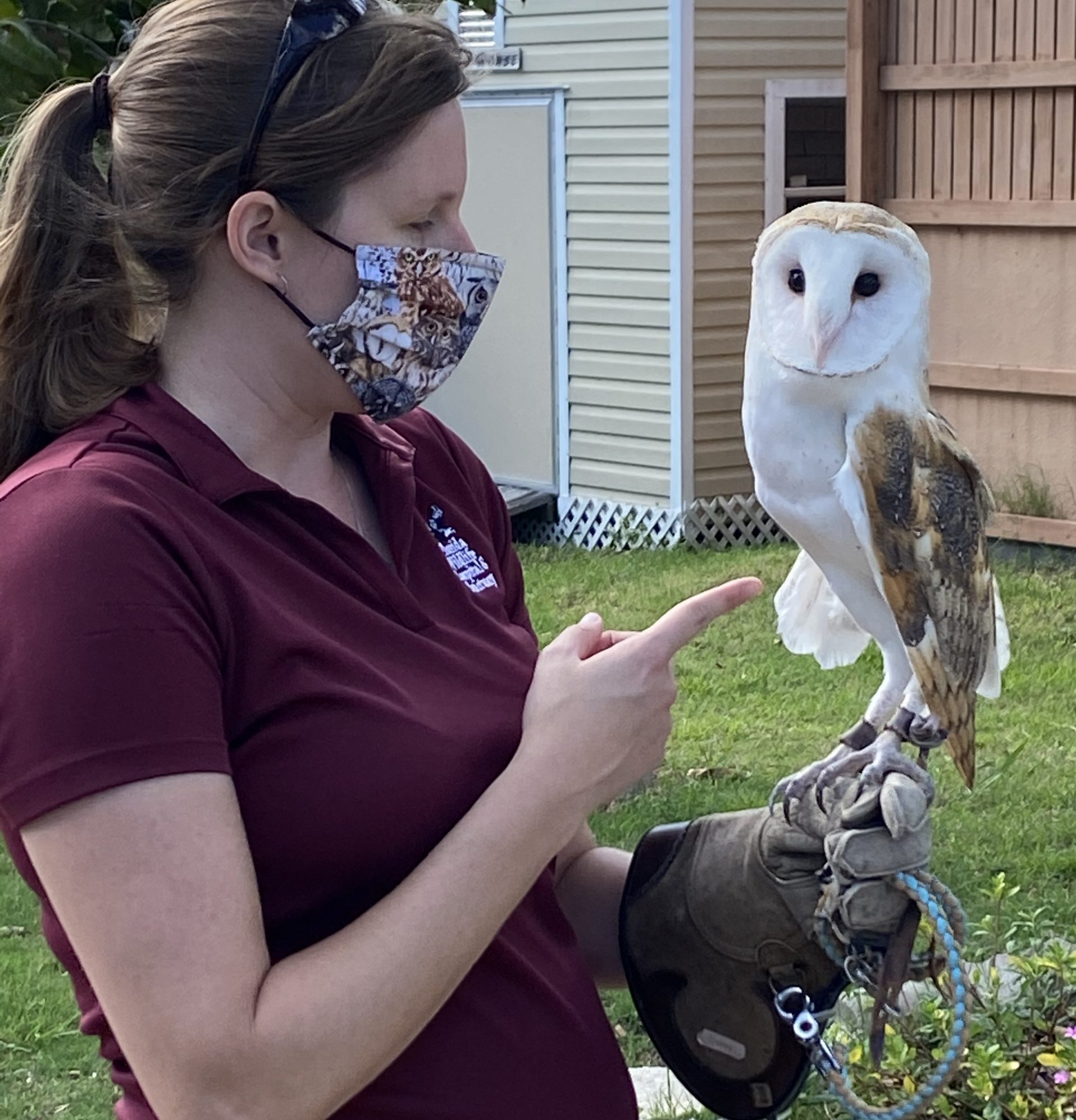 Woman holding an owl outside during a Melbourne Regional Chamber event